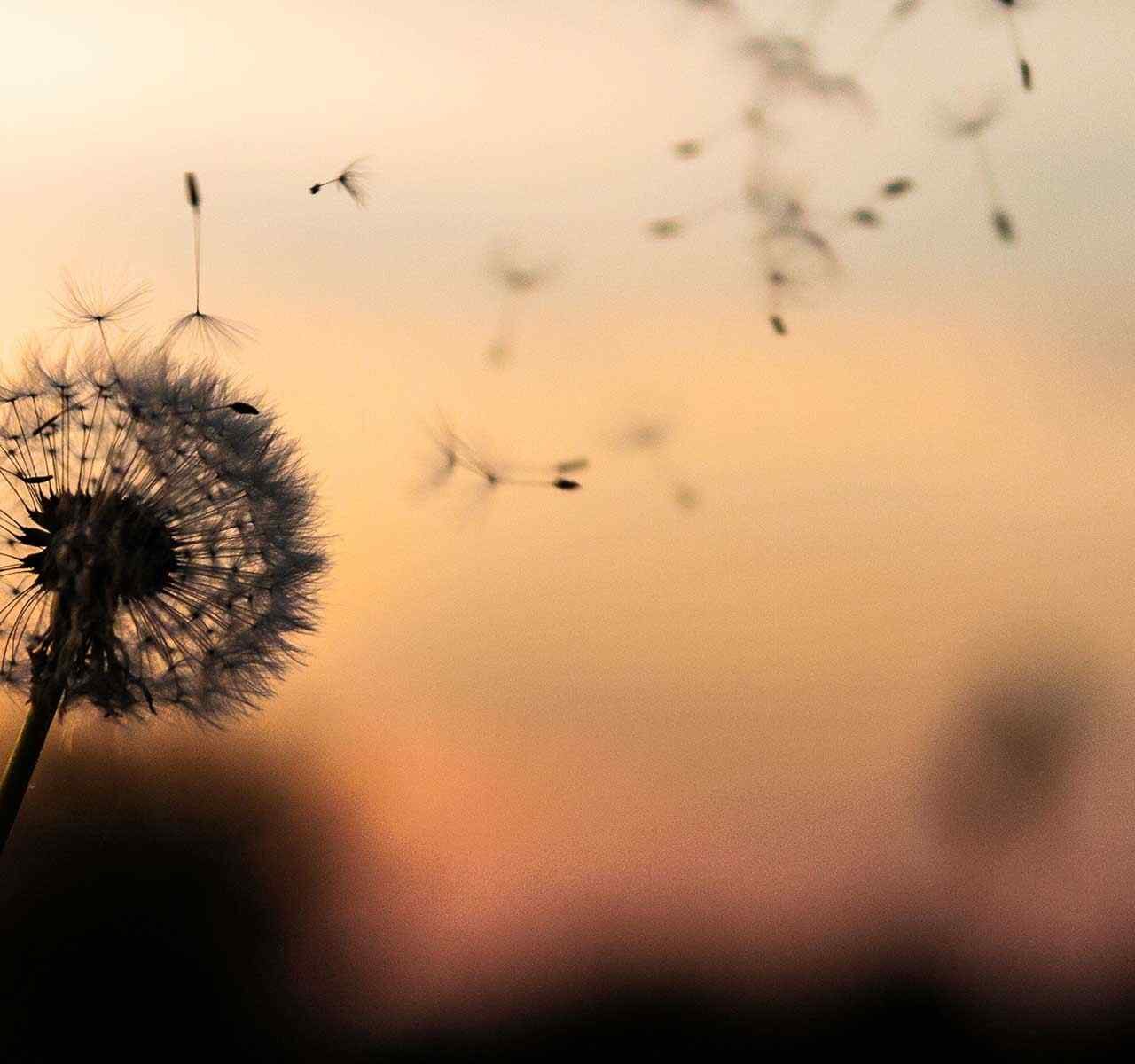 https://www.schwegler-rae.de/wp-content/uploads/2018/09/post_02-1280x1200.jpg