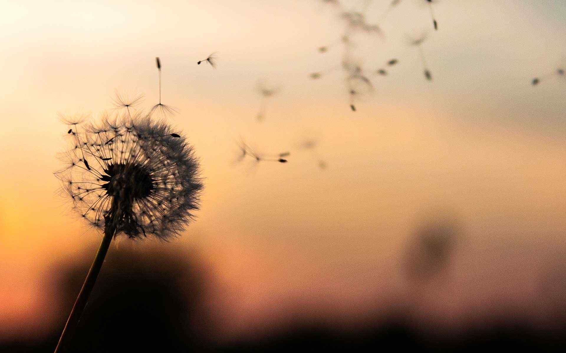 https://www.schwegler-rae.de/wp-content/uploads/2018/09/post_02.jpg